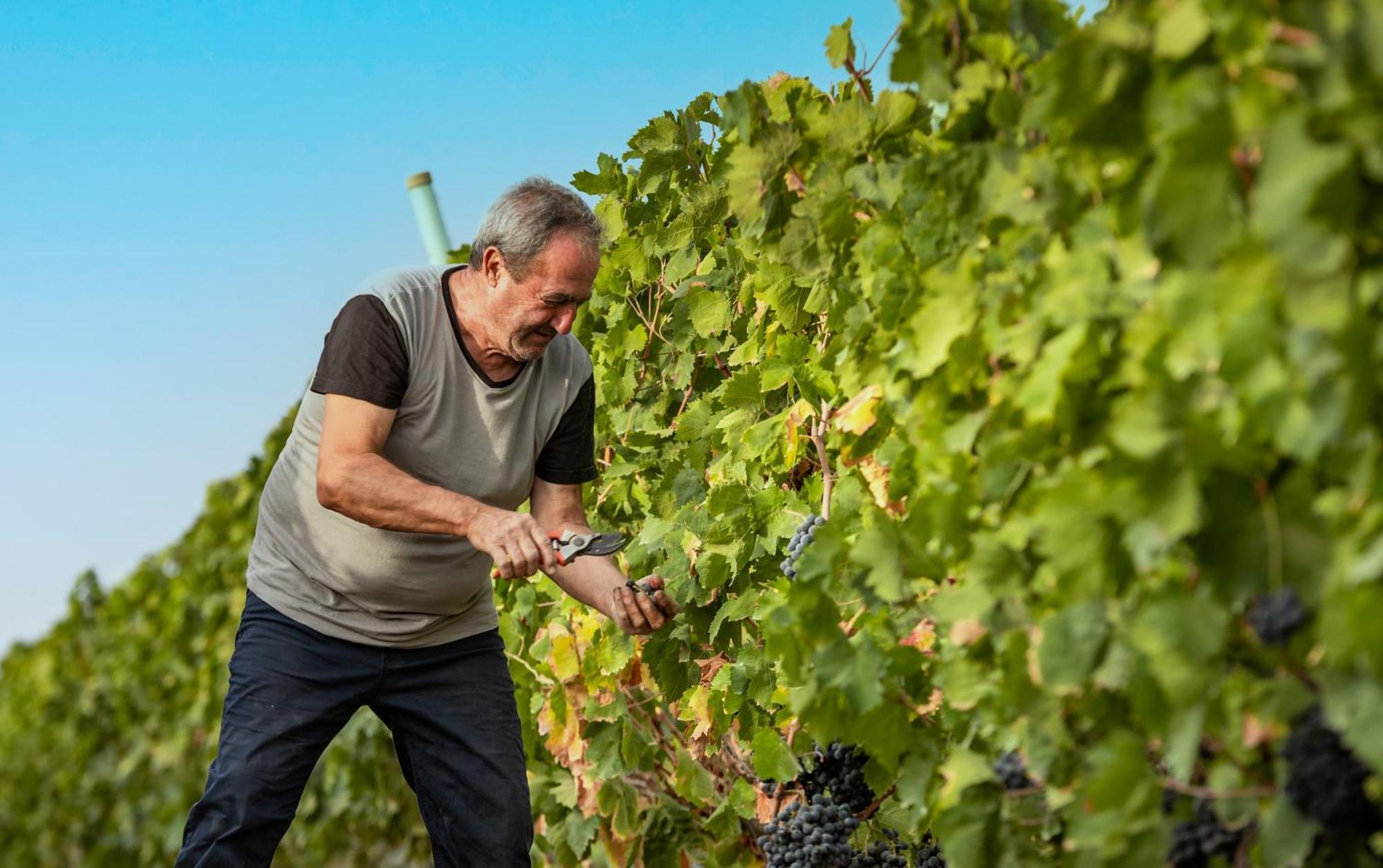 Agriturismo S'Incant'E Sinis San Salvatore  Zewnętrze zdjęcie